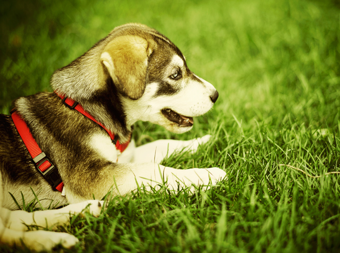 在线DDOS压力测试网页端