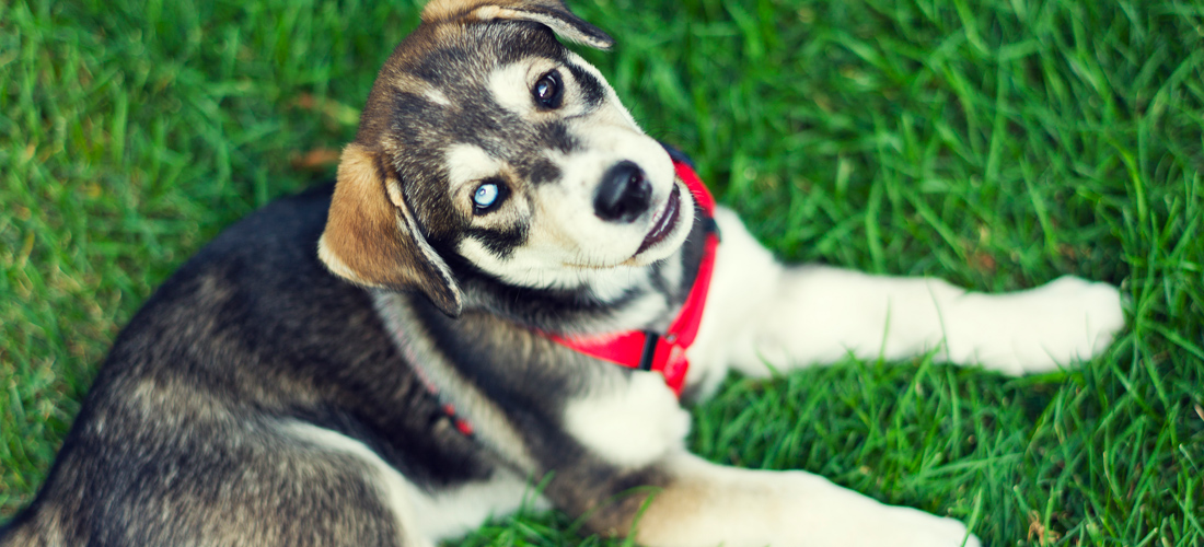 ddos服务器攻击手段