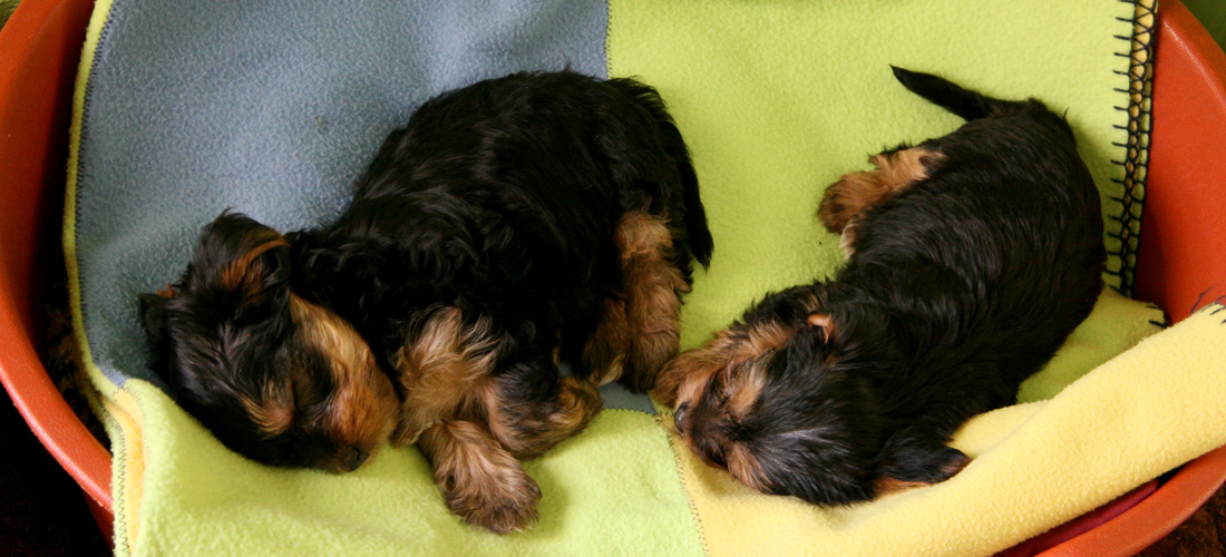 在线DDOS压力测试网页端