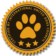 ddos服务器攻击手段